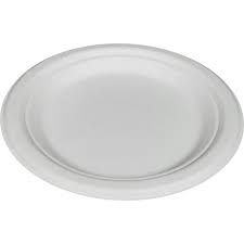 Paper Plate Round 9