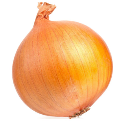Fresh - Onion - Cooking 50 LB