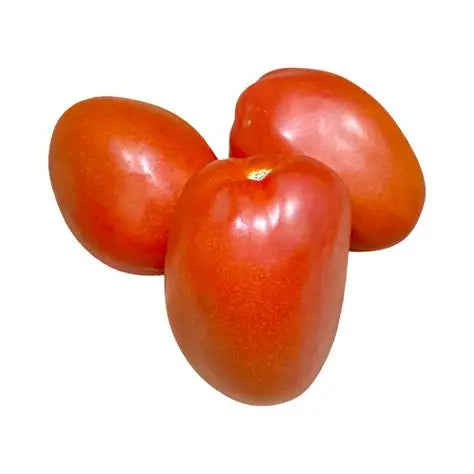 Fresh - Tomato - 5x6 -5lb