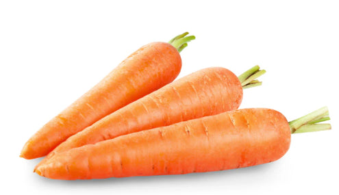 Fresh - Carrot - Jumbo