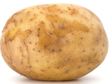 Fresh - Potato - Large 50 Lb