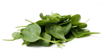 Fresh - Spinach - Baby