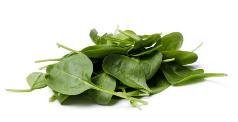 Fresh - Spinach - Baby
